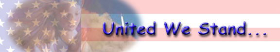 www.newyork911.co.uk